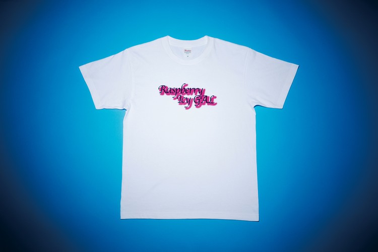 00085-CVT 5.6オンス ヘビーウェイトTシャツ - 画像 (206)